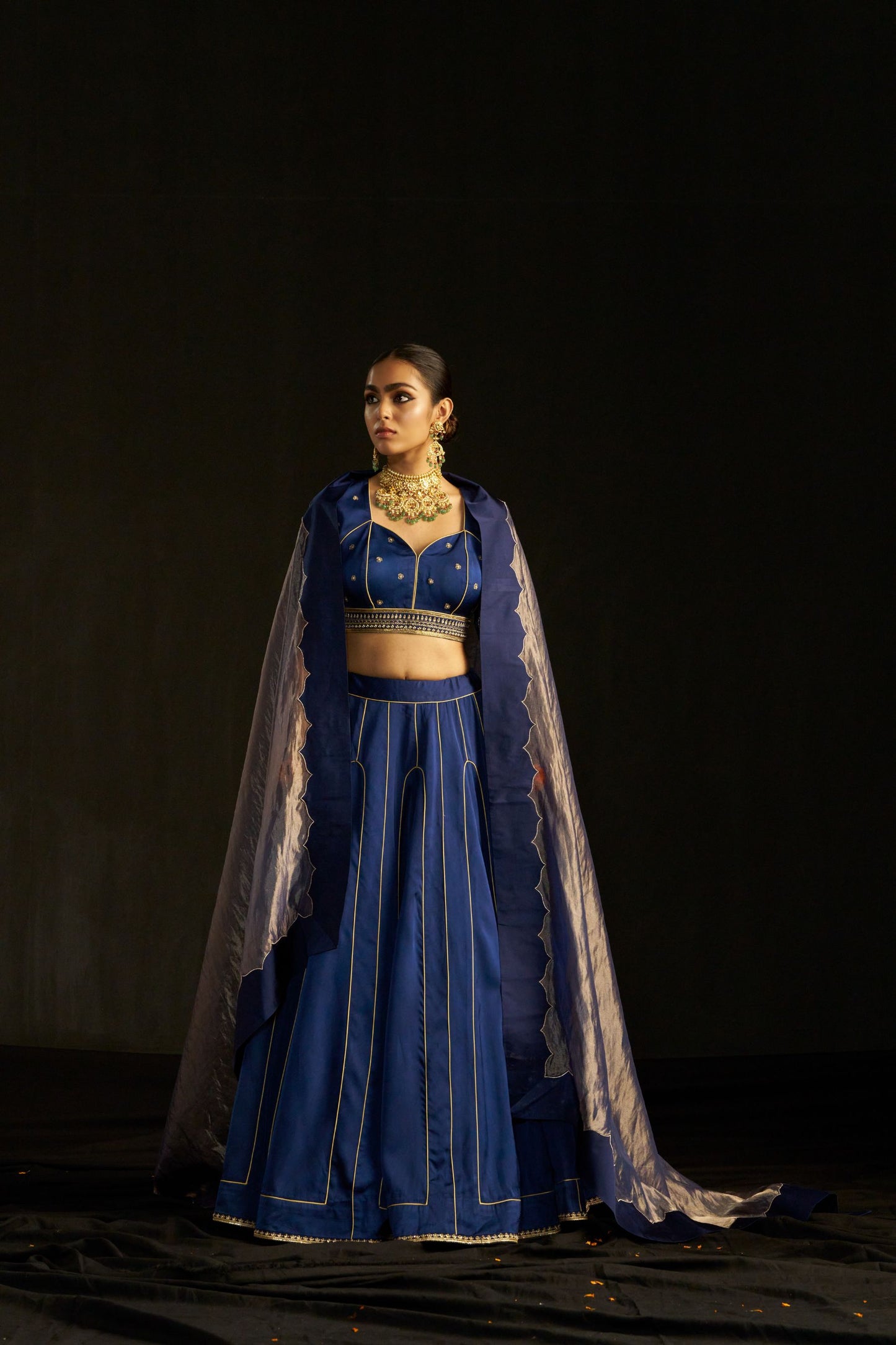 Blue Silk Lehenga with Pure Tissue Dupatta & Handwork Embroidery