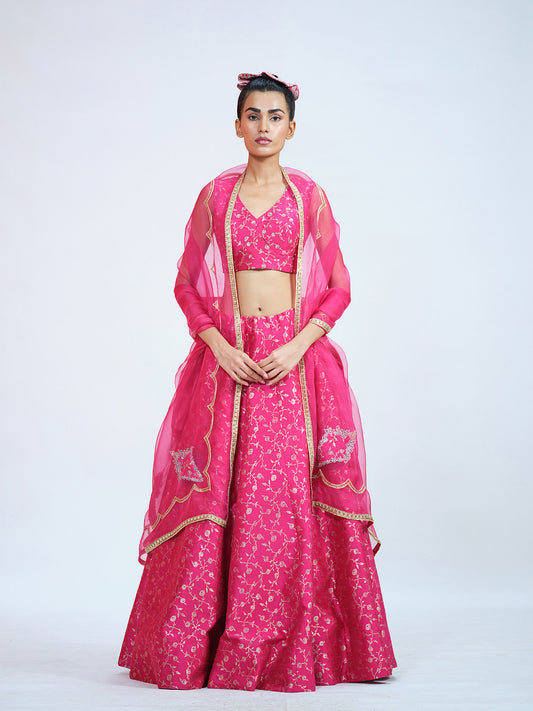 Rani Brocade Lehenga