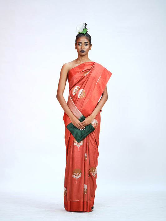 Saree3