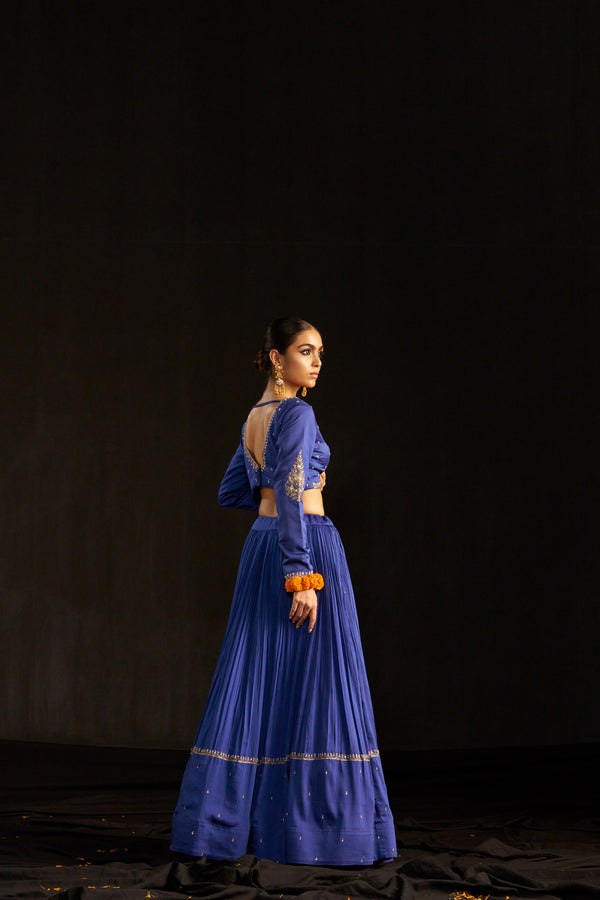 Blue Lehengha Set And Dupatta With Hand Embroidered Details
