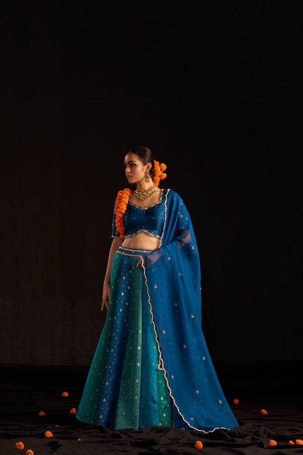 Blue Banarasi Lehengha, Blouse Paired With Organza Handembroidered Dupatta