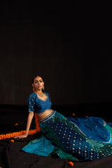 Blue Banarasi Lehengha, Blouse Paired With Organza Handembroidered Dupatta