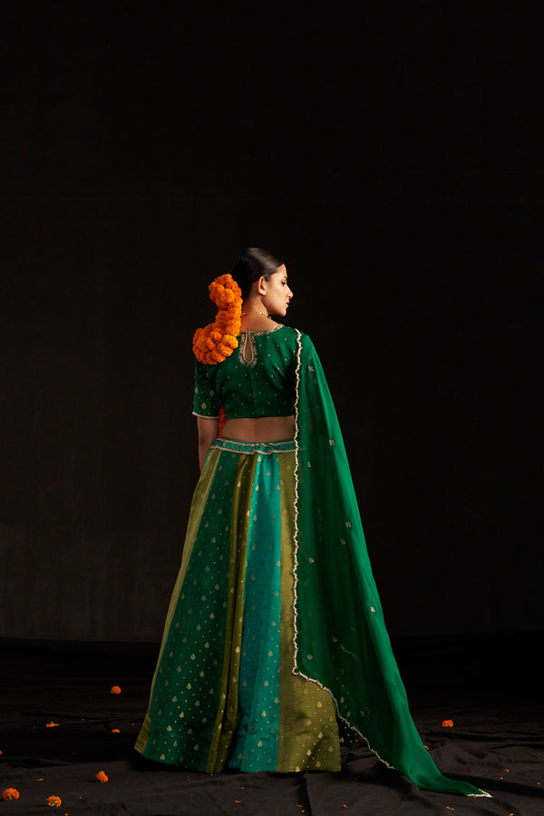 Green Banarasi Lehengha, Blouse Paired With Organza Handembroidered Dupatta